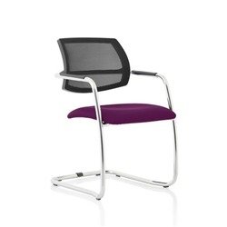 Swift Cantilever Bespoke Colour Seat Tansy Purple