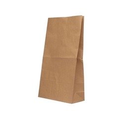 Paper Bag 260x520mm Brown 12.7kg (Pack of 125) 9430023