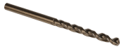 DeWALT High Speed Steel 4.5 mm 2, 80mm Overall