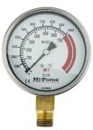 Hi-Force, 100 mm 1/2 in Pressure Gauge, 700 bar, RSCAL